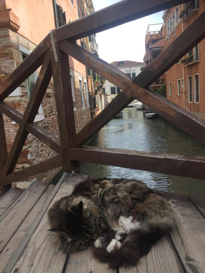 Mori 3, In Centro Storico Di Venezia Apartman Kültér fotó